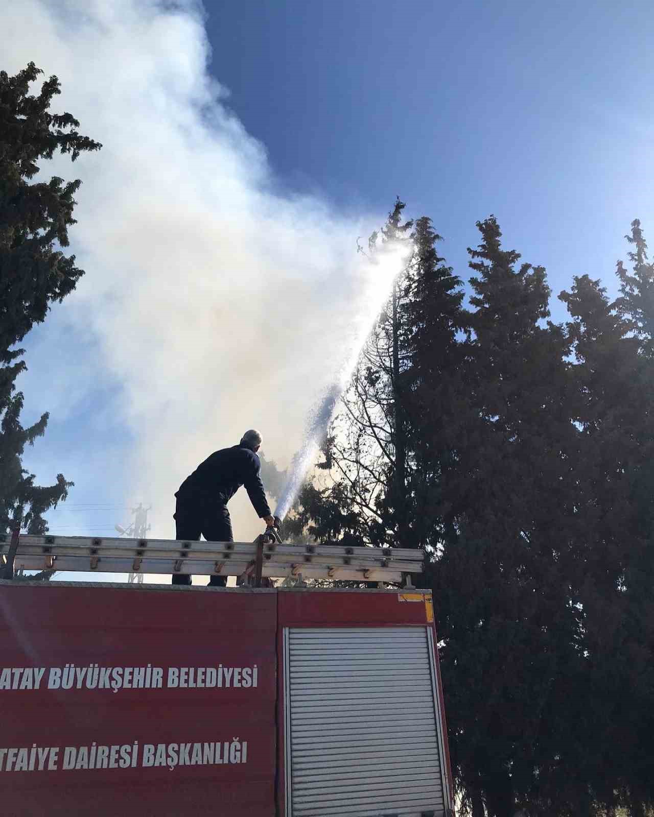 Reyhanlı’da çamlık alanda yangın çıktı