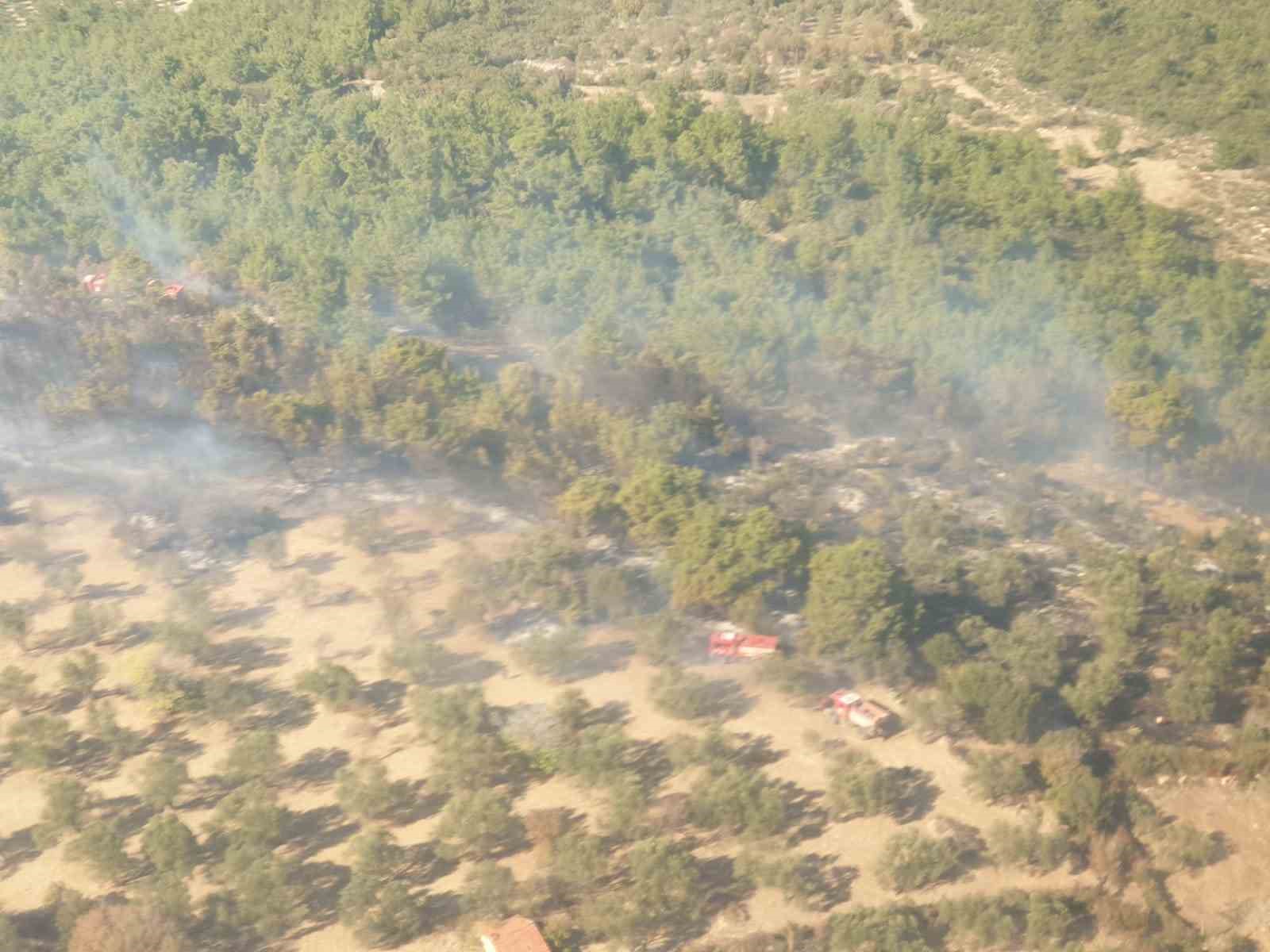 İzmir’de arazide çıkan yangın ormana sıçradı; havadan müdahale de başladı
