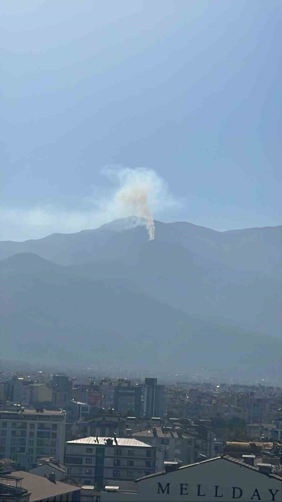 Denizli’deki orman yangınına havadan ve karadan müdahale ediliyor
