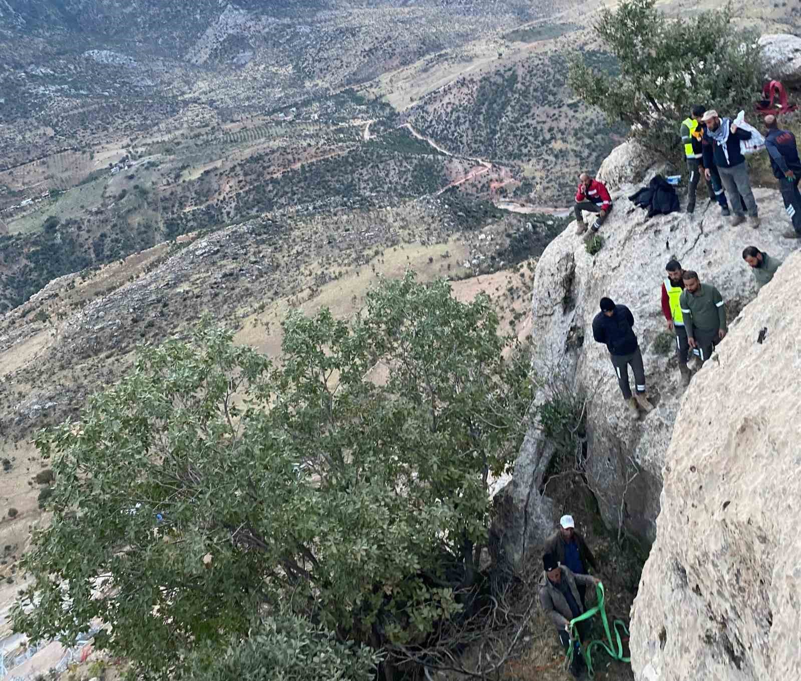 Siirt’te çukurda mahsur kalan inekler kurtarıldı