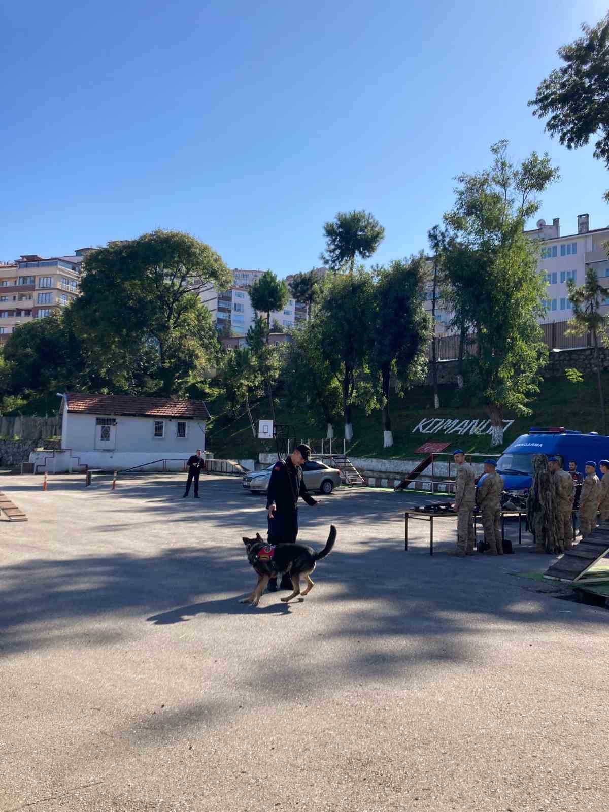 Öğrenciler jandarmayı ziyaret edip eğitimli köpeklerin gösterilerini izledi