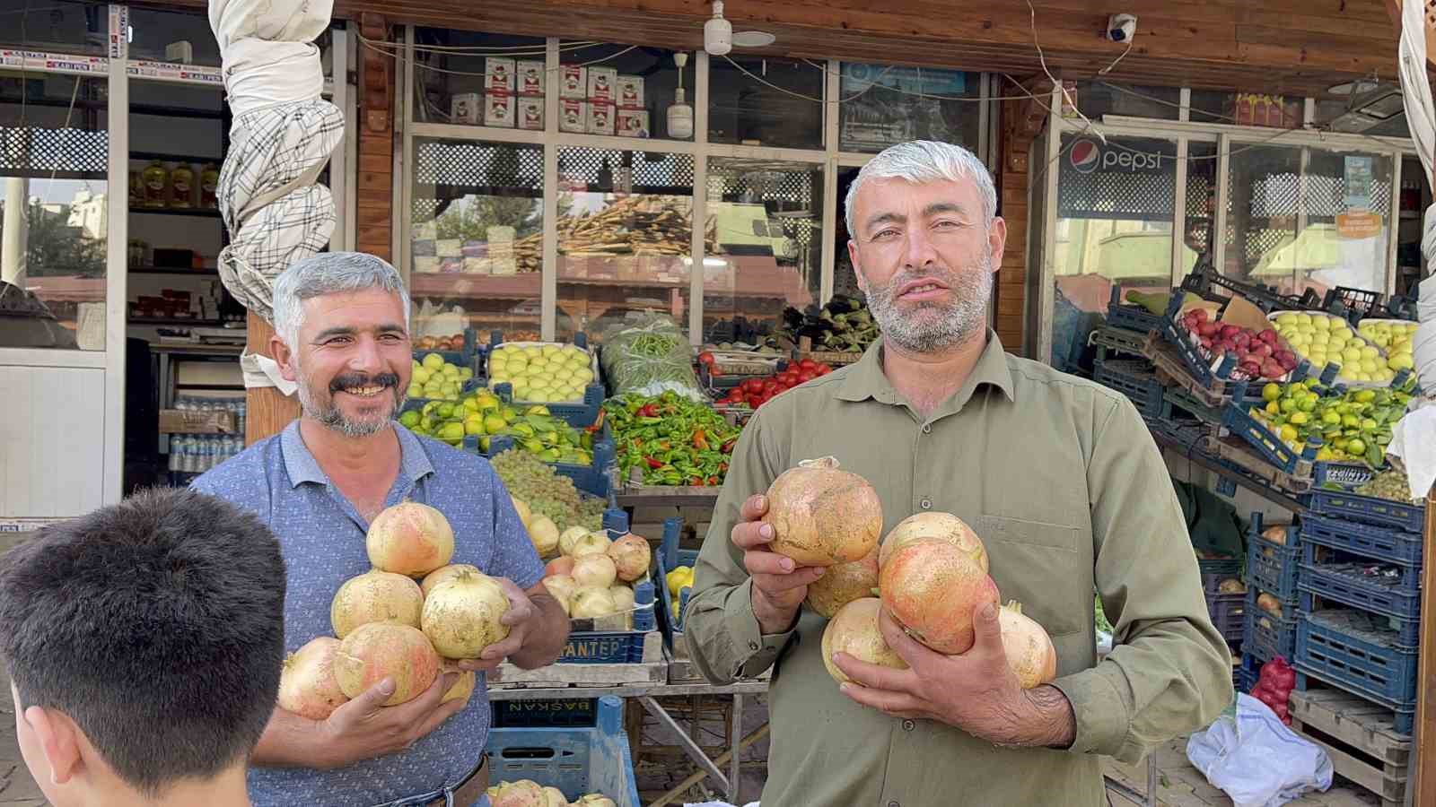 Avrupa Birliği tescilli narın hasadı başladı