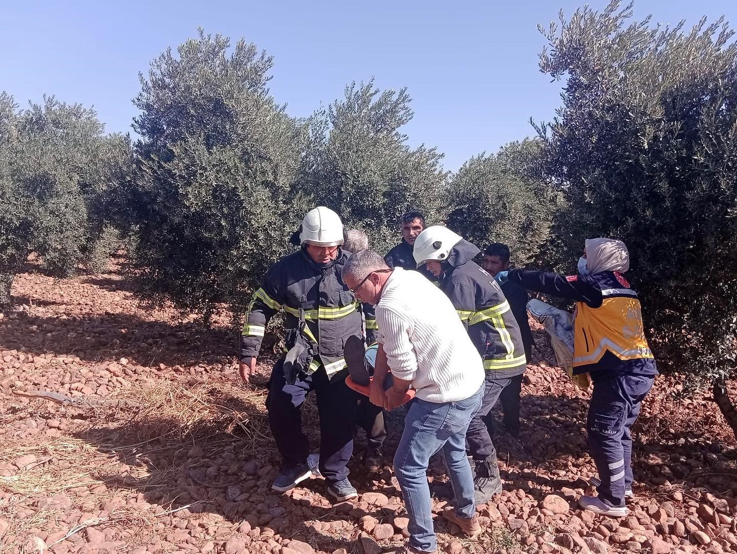 Zeytin bahçesine uçan otomobildeki 5 kişi yaralandı
