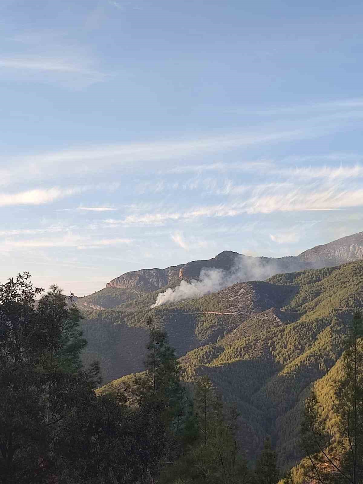 Gazipaşa’da ormanlık alanda çıkan yangın söndürüldü
