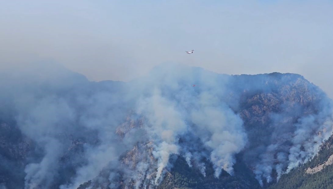 Vali Coşkun: "Yangını kontrol altına almak i&ccedil;in b&uuml;t&uuml;n birimlerimiz &ccedil;alışıyor"

