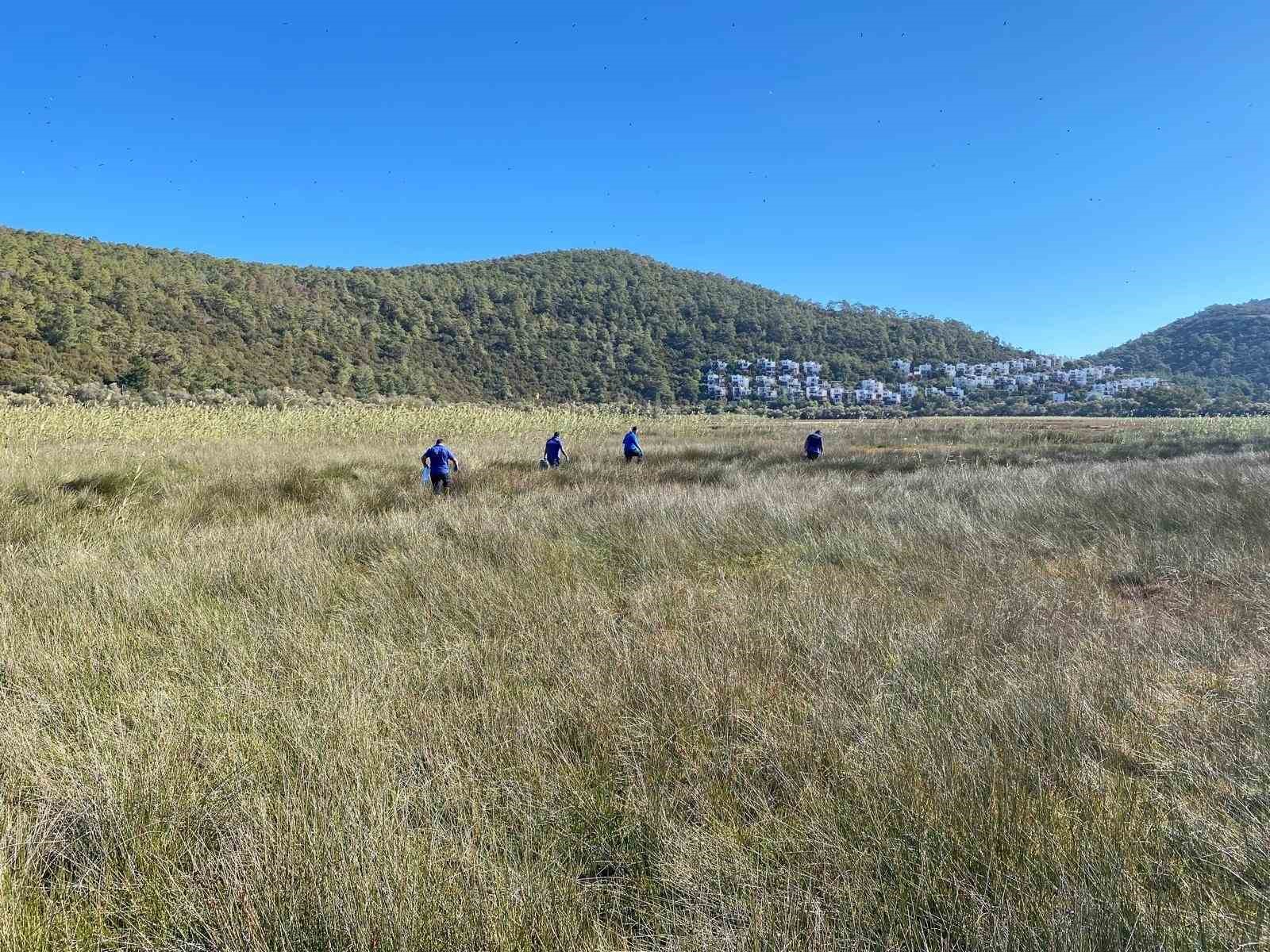 Bodrum’da 345 dönümlük göletin sivrisinek sorunu çözüldü
