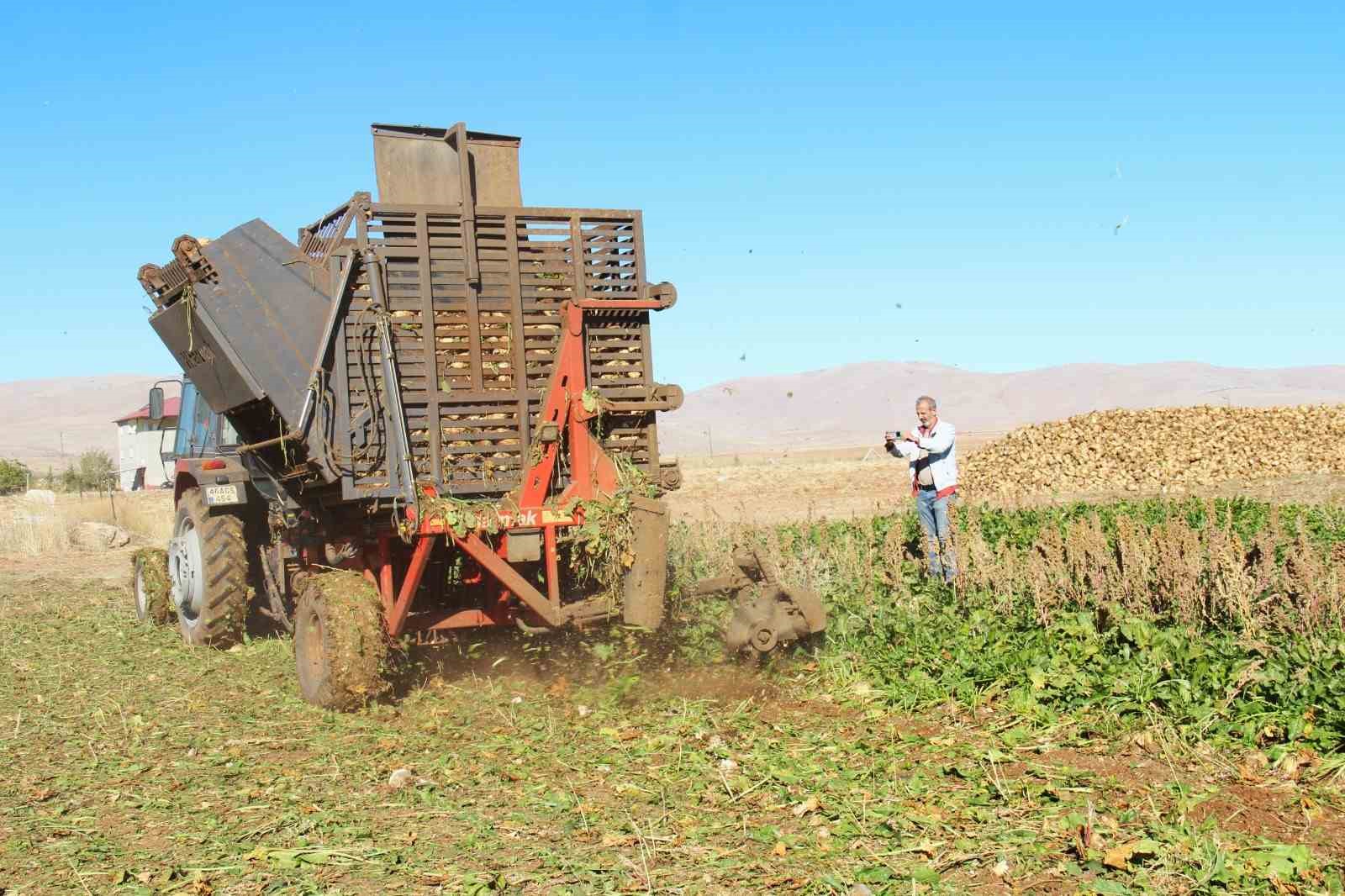 Kahramanmaraş&rsquo;ta şeker pancarı hasadı başladı
