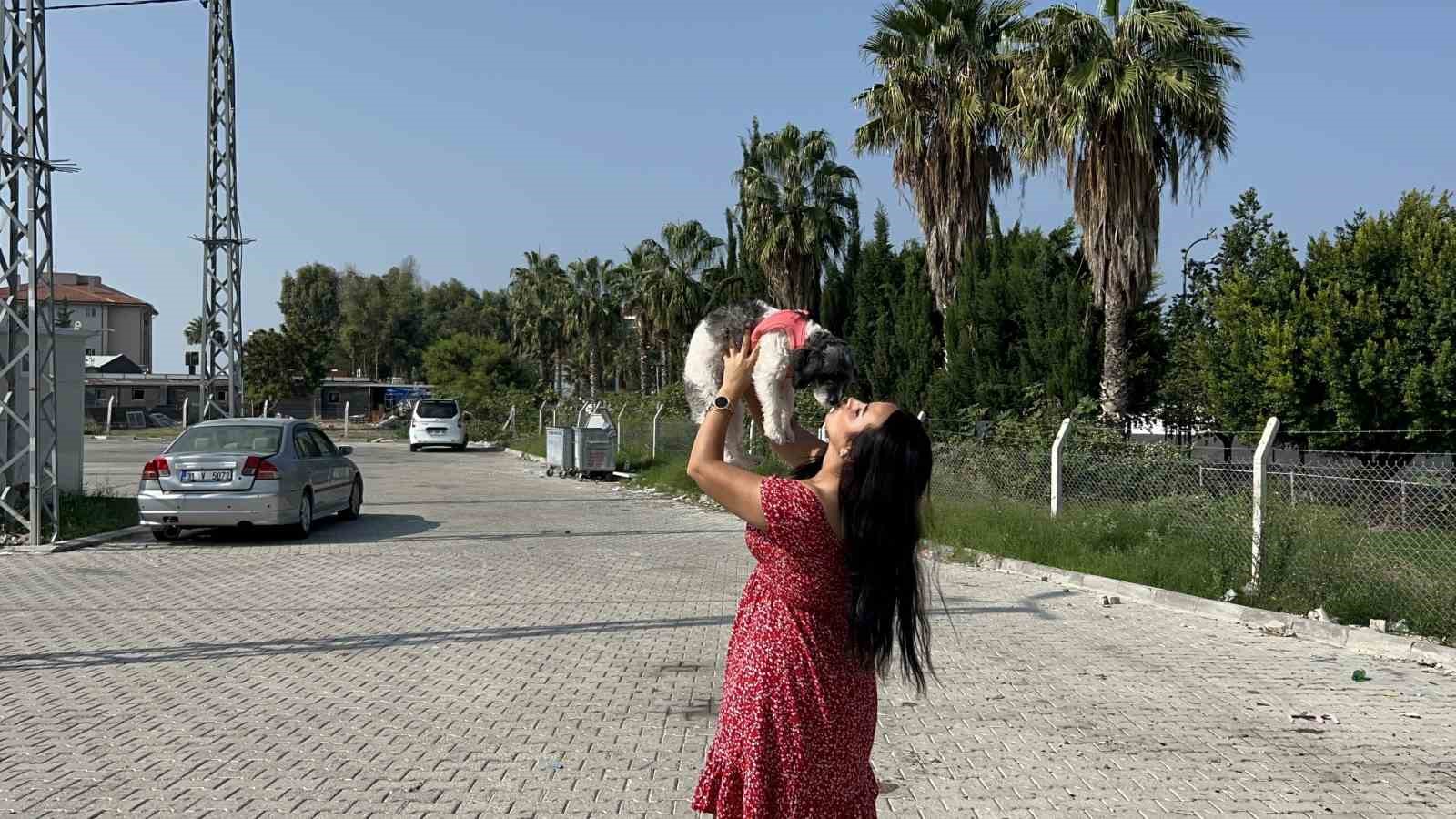 Aylardır sahibine ulaşılamayan Şila’nın yeni yuvası depremzede ailenin konteyneri oldu
