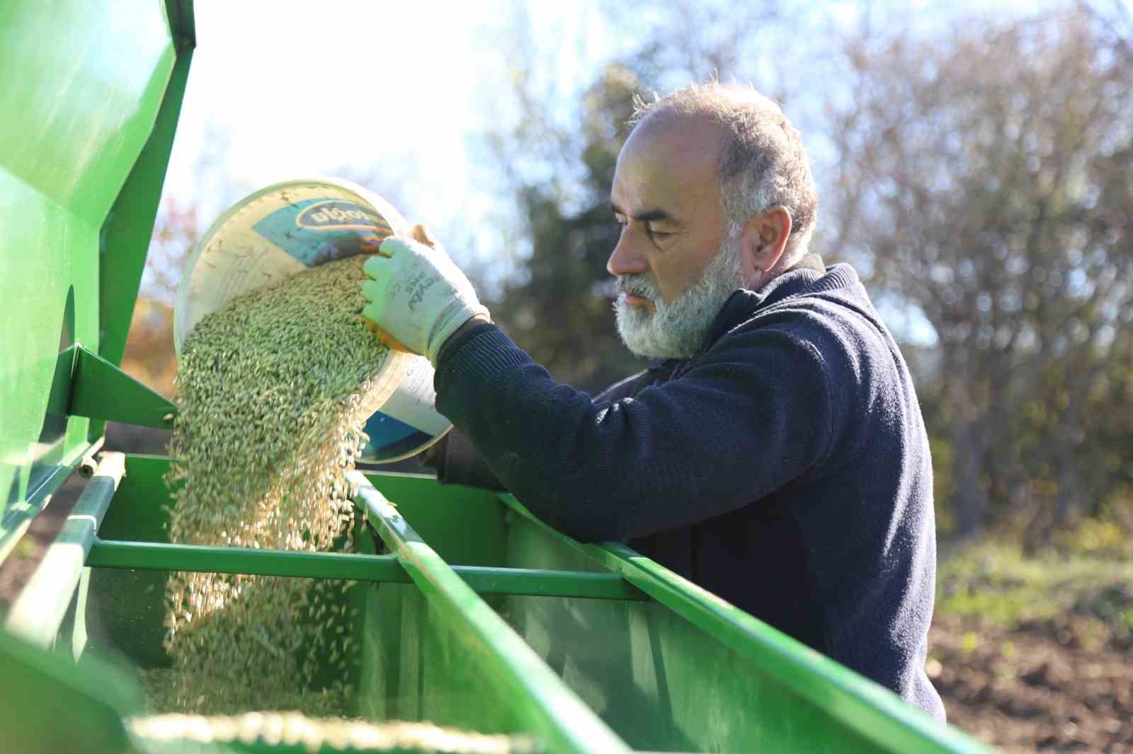 Buğdayın atası 12 bin yıllık siyez toprakla buluştu 