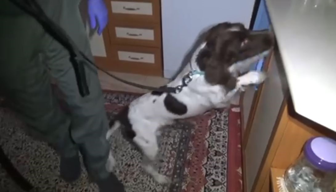 Denizli merkezli torbacı operasyonunda g&ouml;zaltına alınan 103 ş&uuml;pheliden 35&rsquo;i tutuklandı
