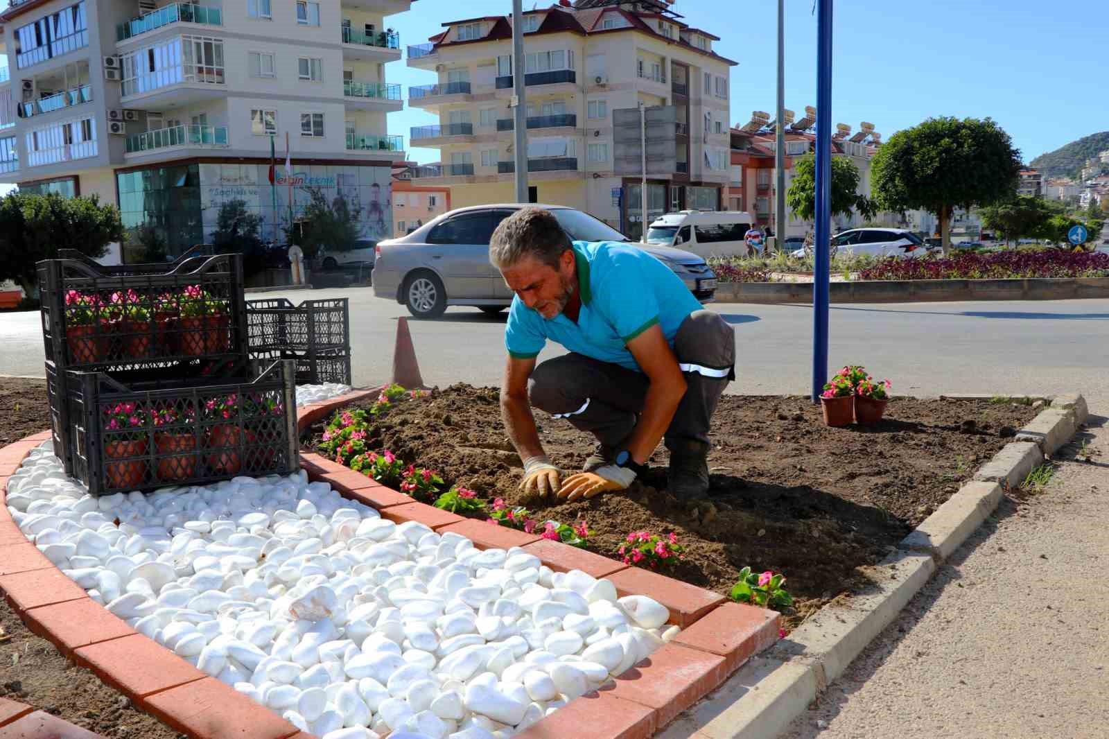 Alanya belediyesi mevsimlik çiçek dikimlerine başladı
