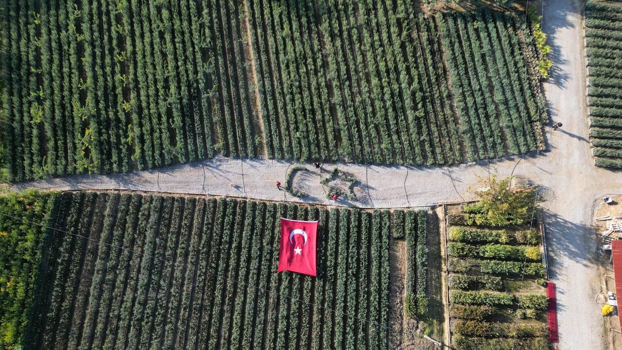 Cumhuriyetin 101. yılı için zeytin fidanlarıyla Türk Bayrağı’nı oluşturdu