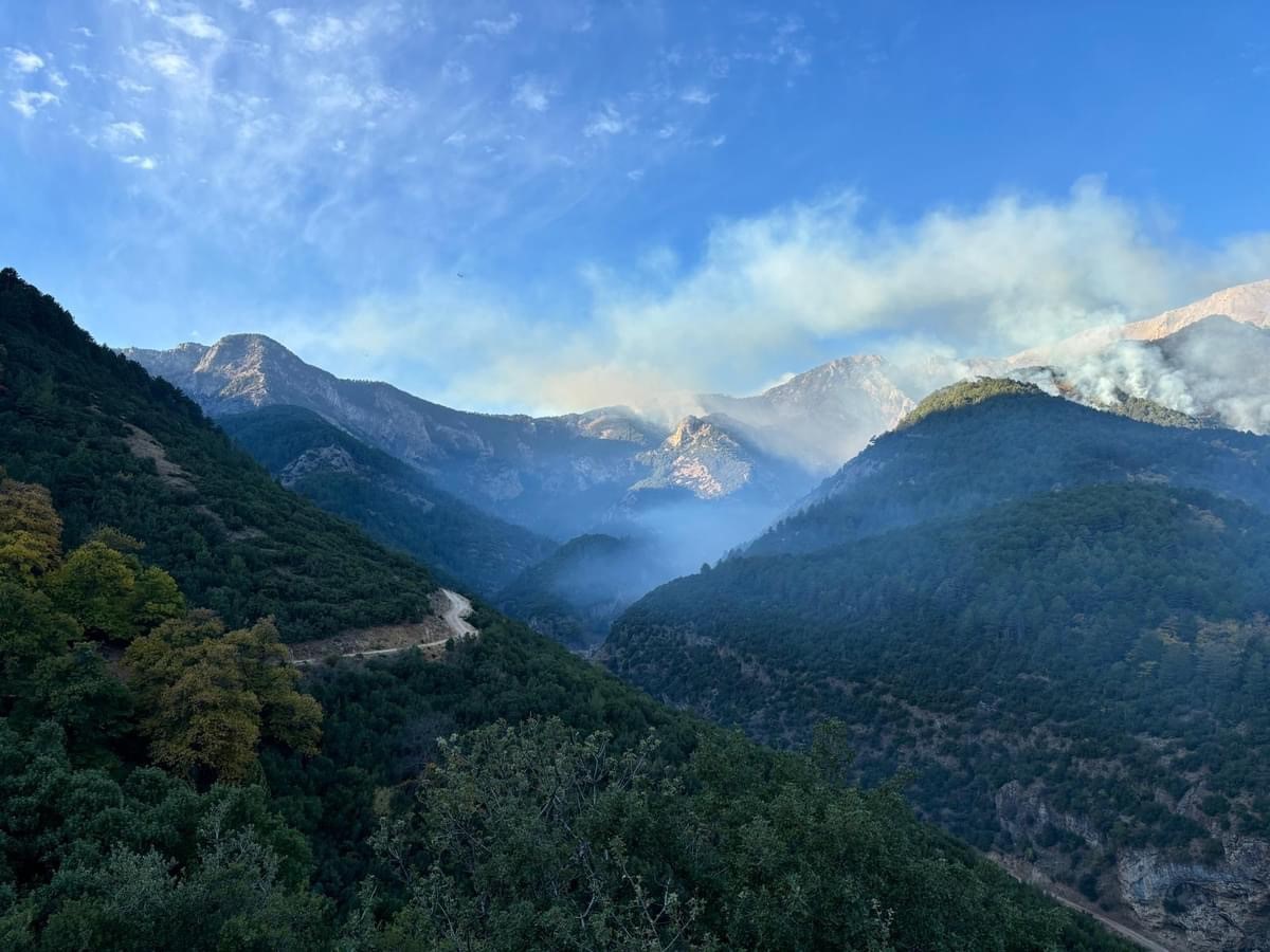 Denizli B&uuml;y&uuml;kşehir Belediyesinden orman yangınıyla m&uuml;cadeleye b&uuml;y&uuml;k destek
