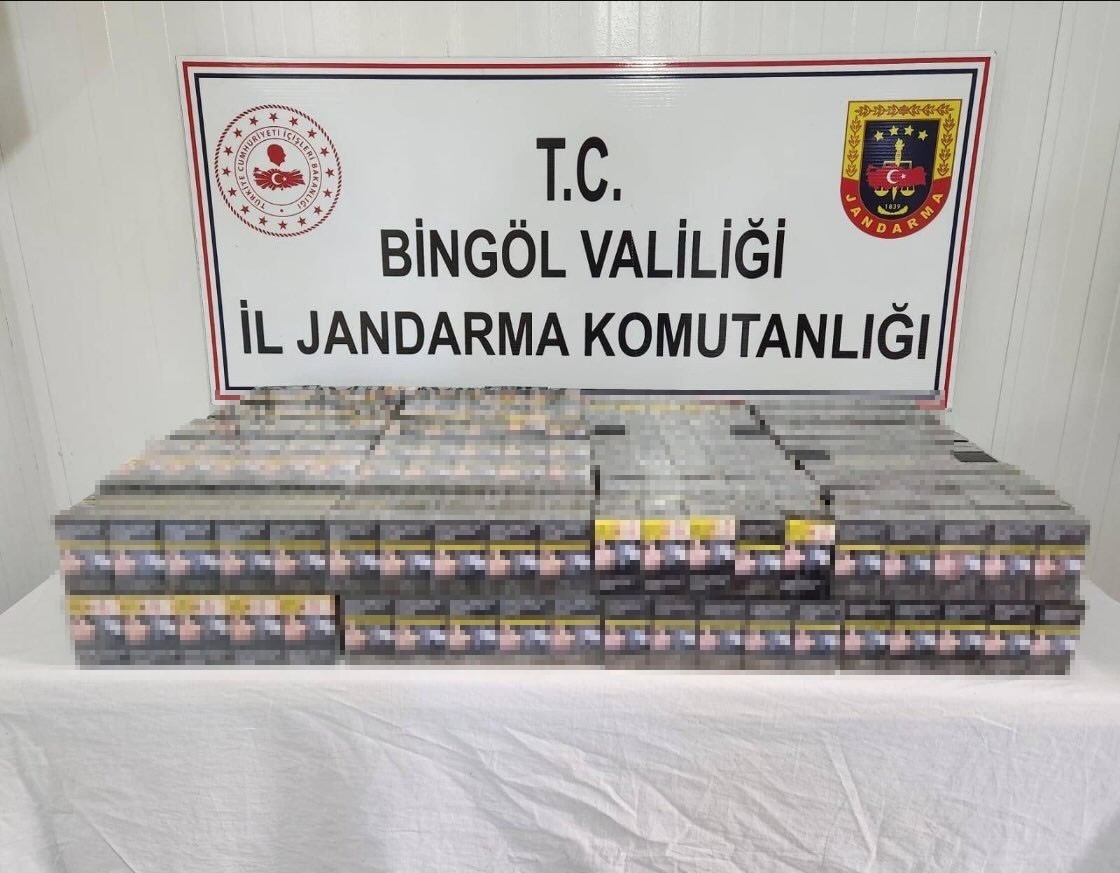 Bingöl’de kaçak kazı yapan 2 kişi yakalandı