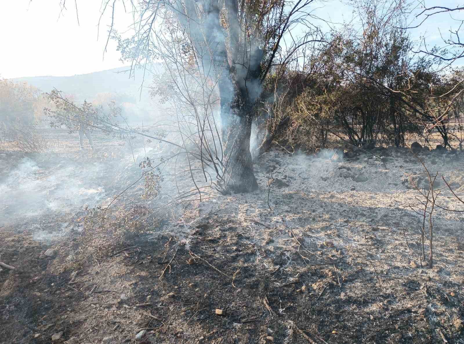 Bahçede çıkan yangın ağaçlık alana sıçramadan söndürüldü
