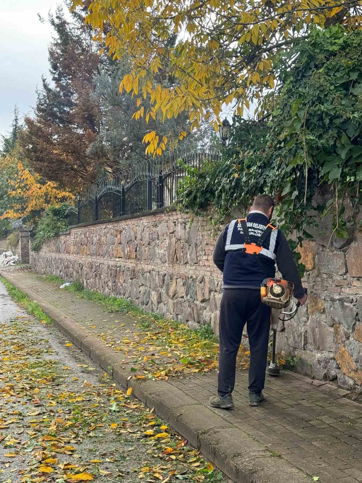 Serdivan’da temizlik seferberliği devam ediyor