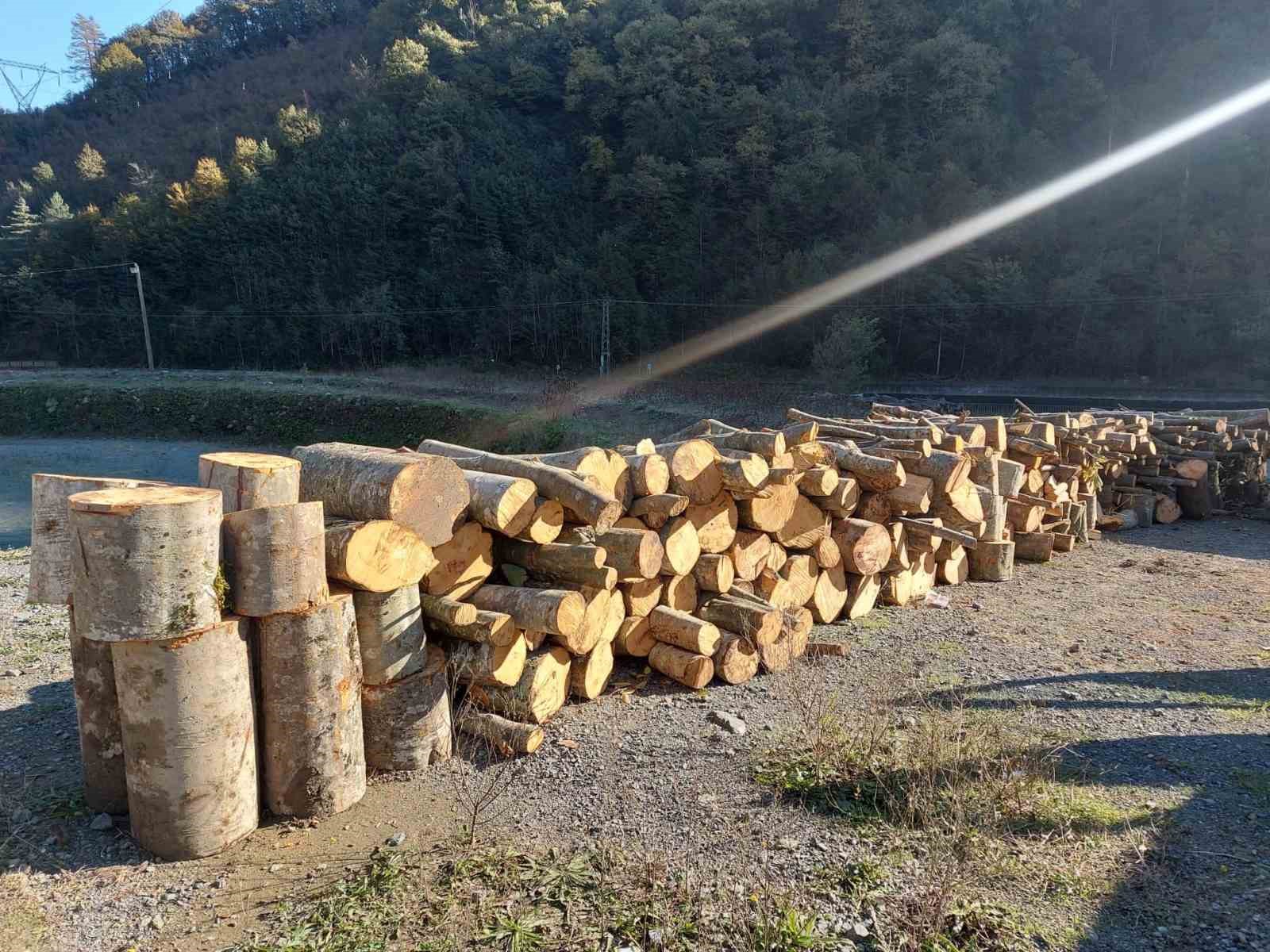 Artvin’de kooperatif başkanı eylemlerin yapıldığı alanda kaçak ağaç kesmekten gözaltına alındı