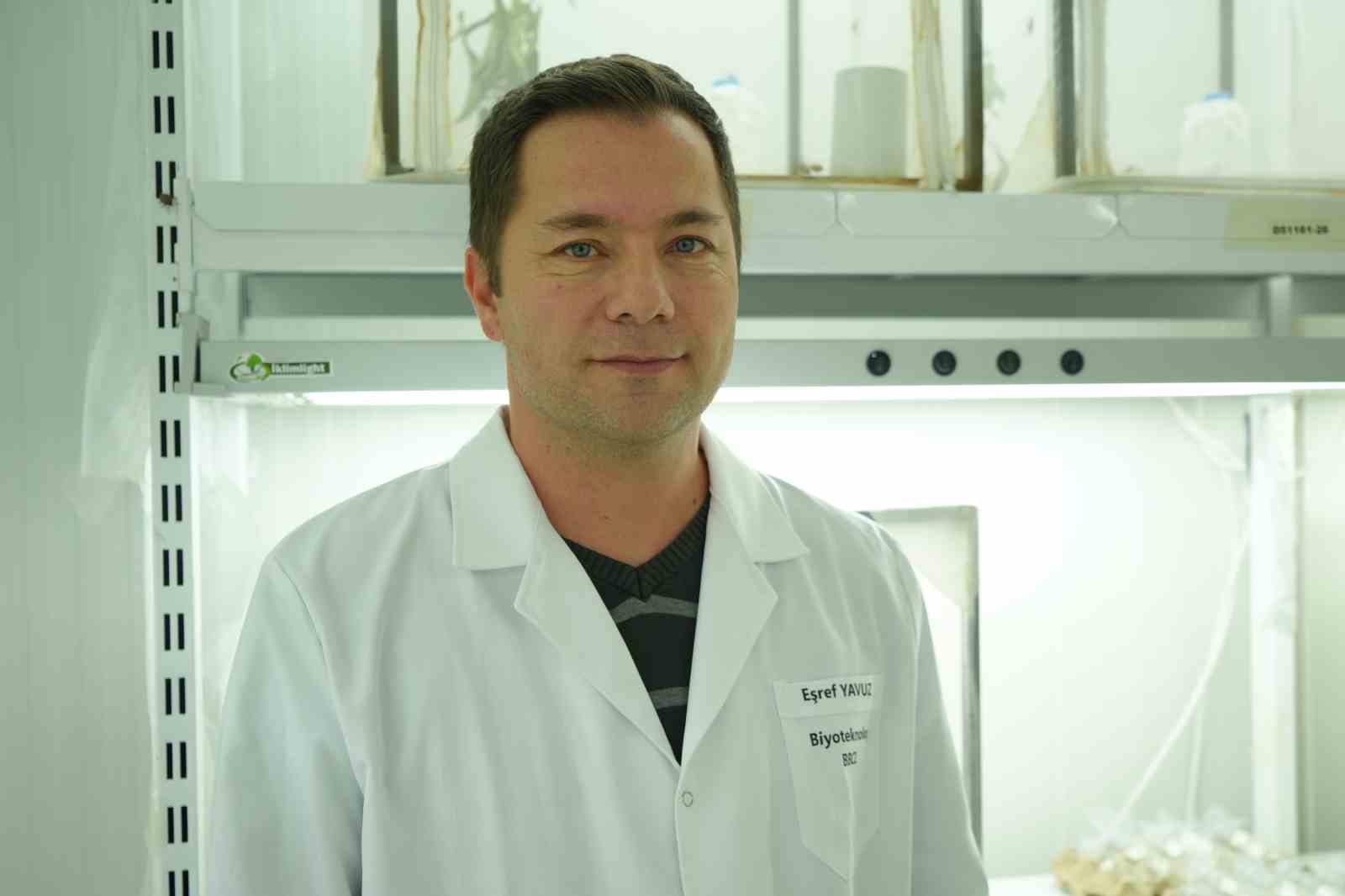 Kokarca istilasına karşı samuray arısı &uuml;retimi 10 katına &ccedil;ıkarıldı
