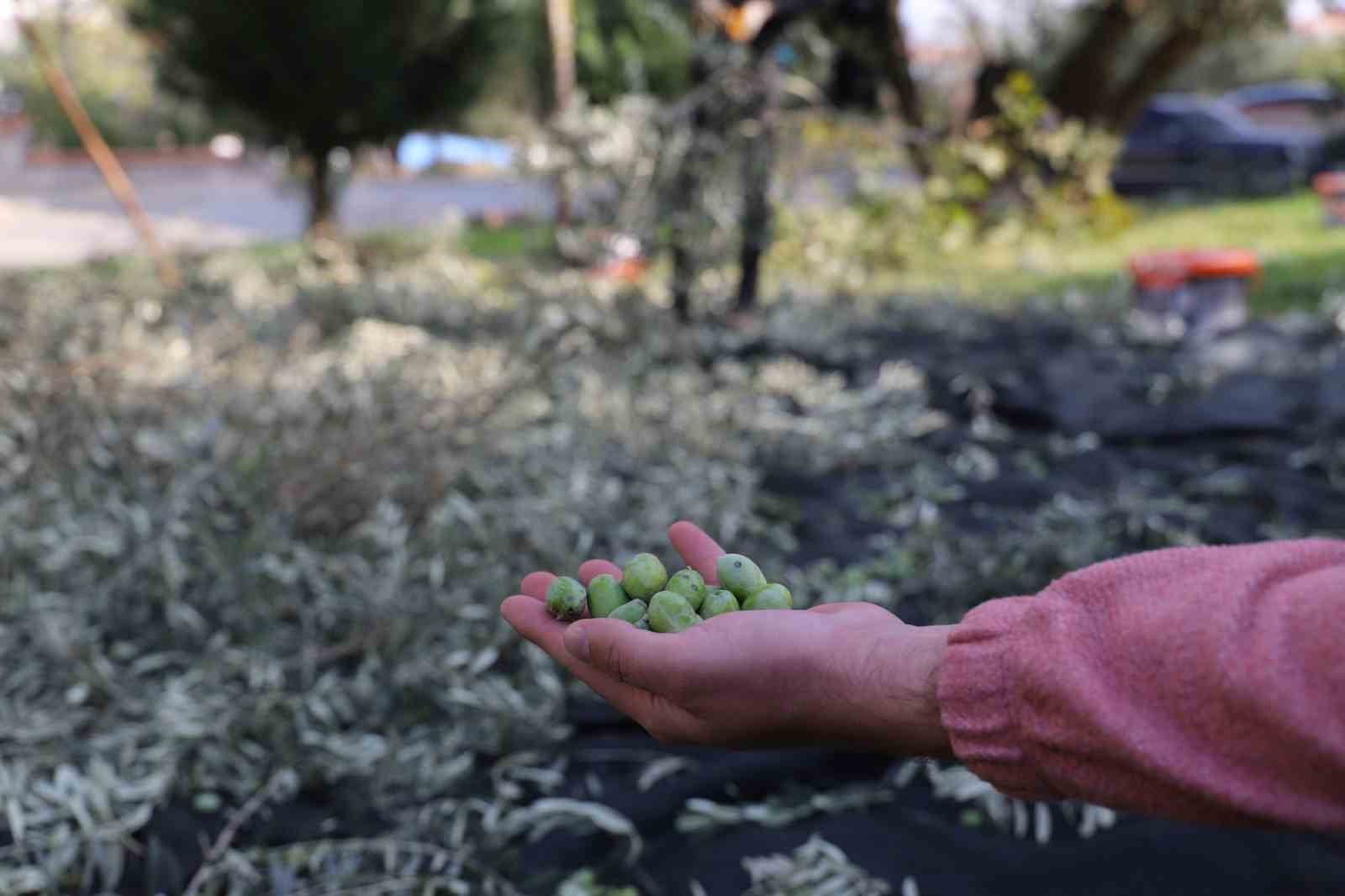 Turgutlu Belediyesi örnek uygulamasına devam ediyor