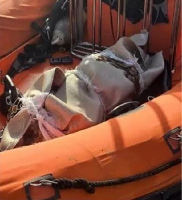 Denizde halıya sarılmış halde cesedi bulunan Sedef G&uuml;ler cinayetine ilişkin fezleke hazırlandı
