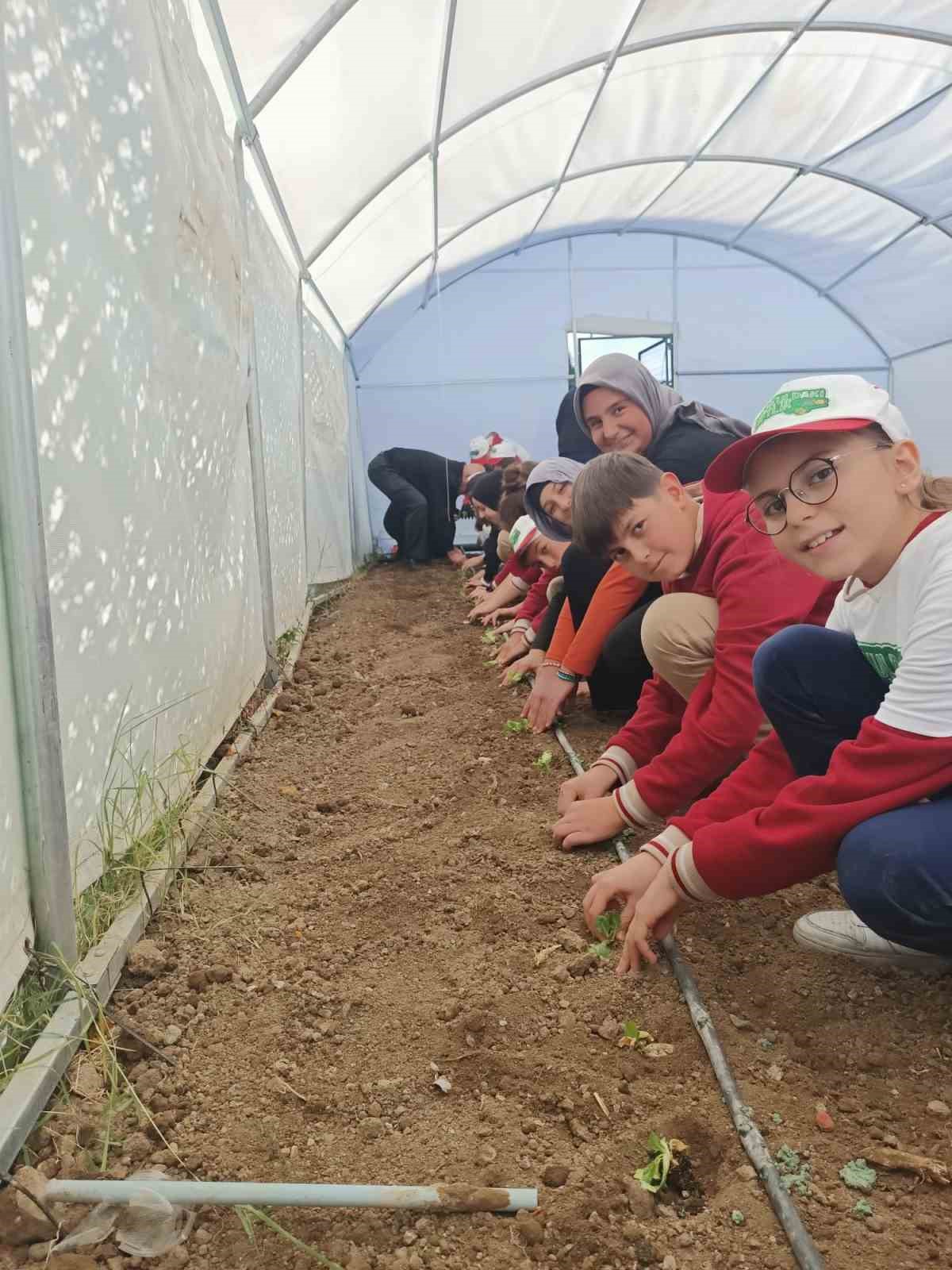 Erzincan’da okuldaki çiftlik kışlık sebze üretecek
