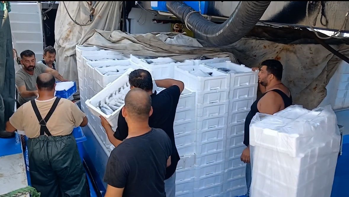 "Kestane karası" bitti, tekneler Karadeniz’e açıldı
