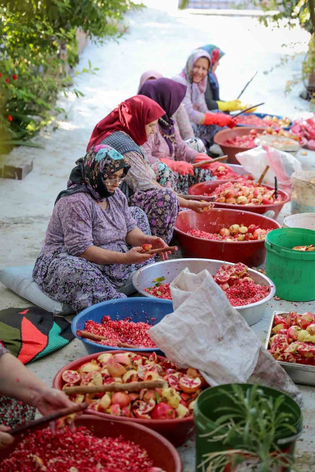 Nar ekşisi bütçeye destek sofralara lezzet katıyor
