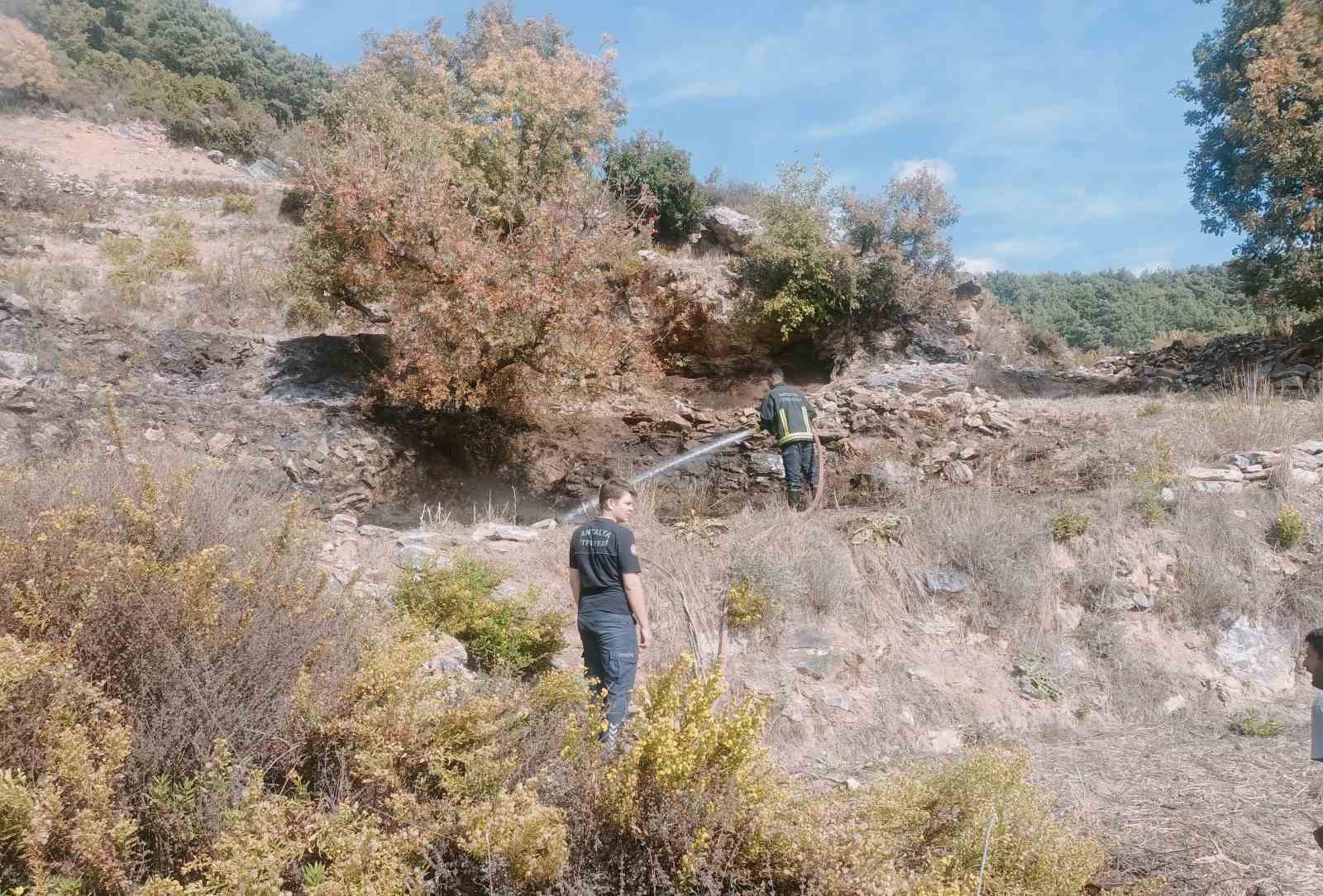 Alanya’da merada çıkan yangın kontrol altına alındı