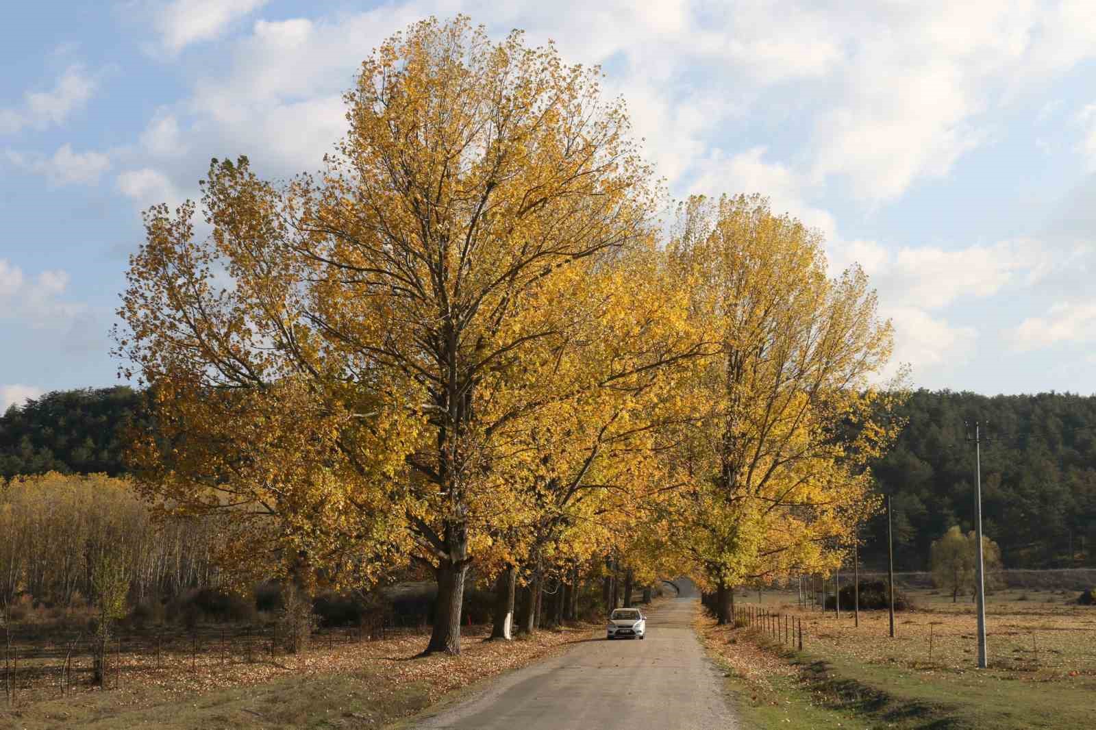 Bu yol yeni evlenen çiftlerin uğrak noktası
