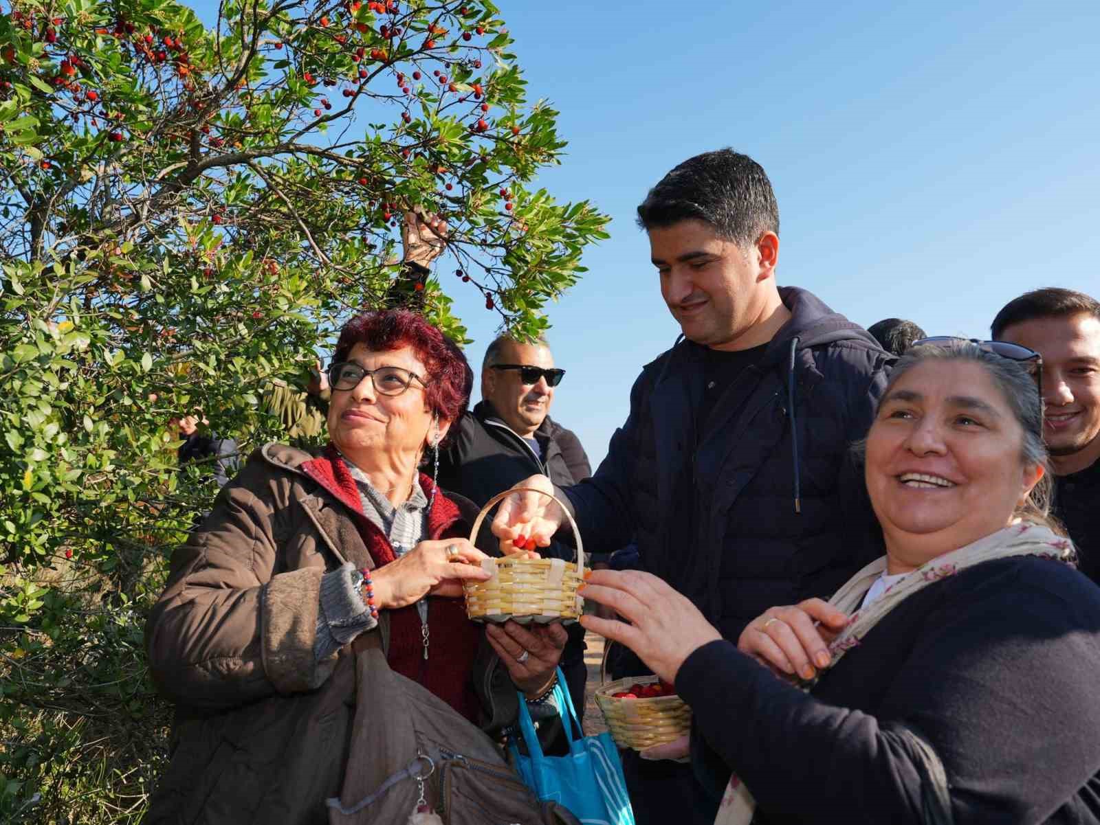 Doğaseverler 438 metre yüksekliğindeki Kayışdağı Ormanı’nda dağ çileği topladı