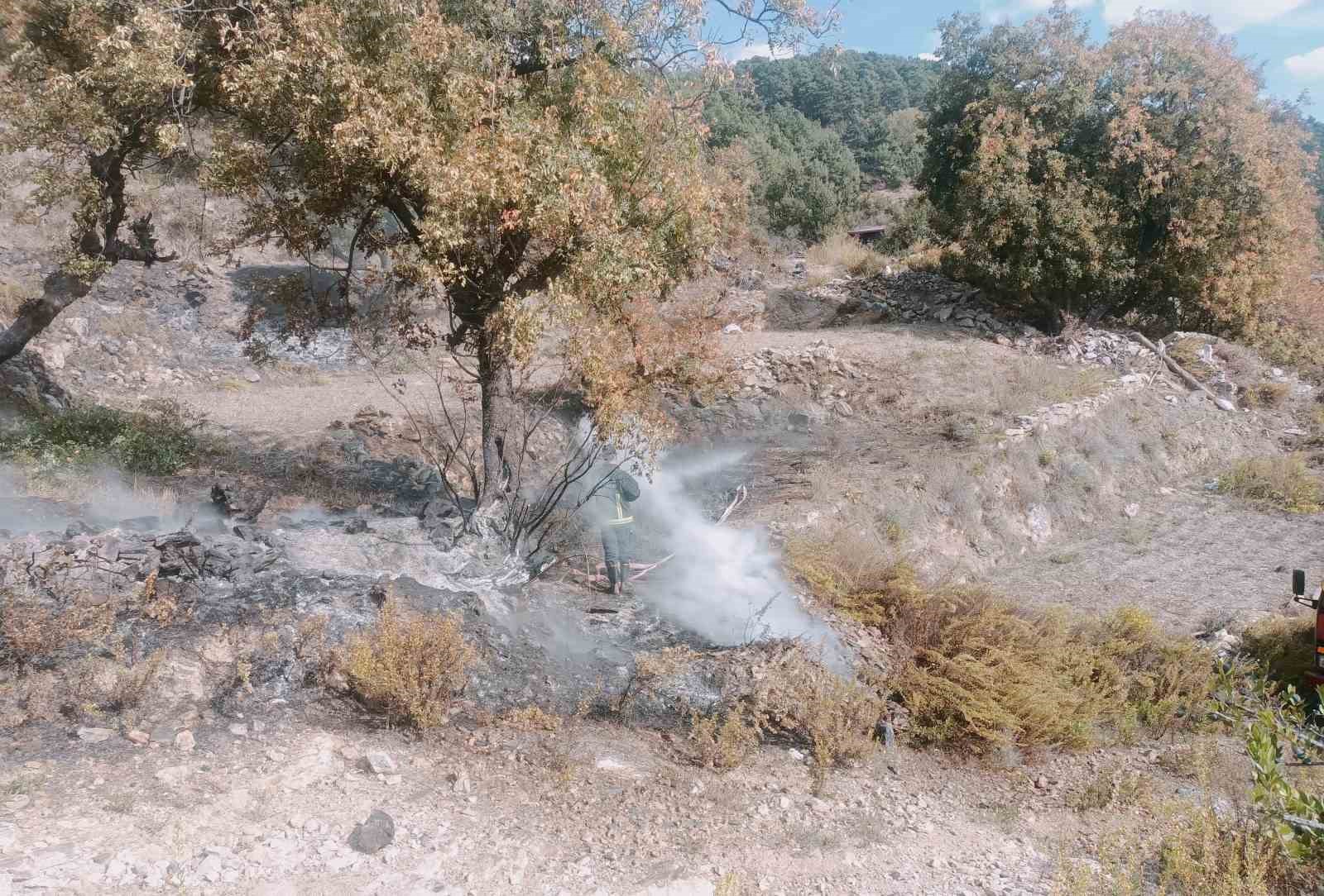 Alanya’da merada çıkan yangın kontrol altına alındı
