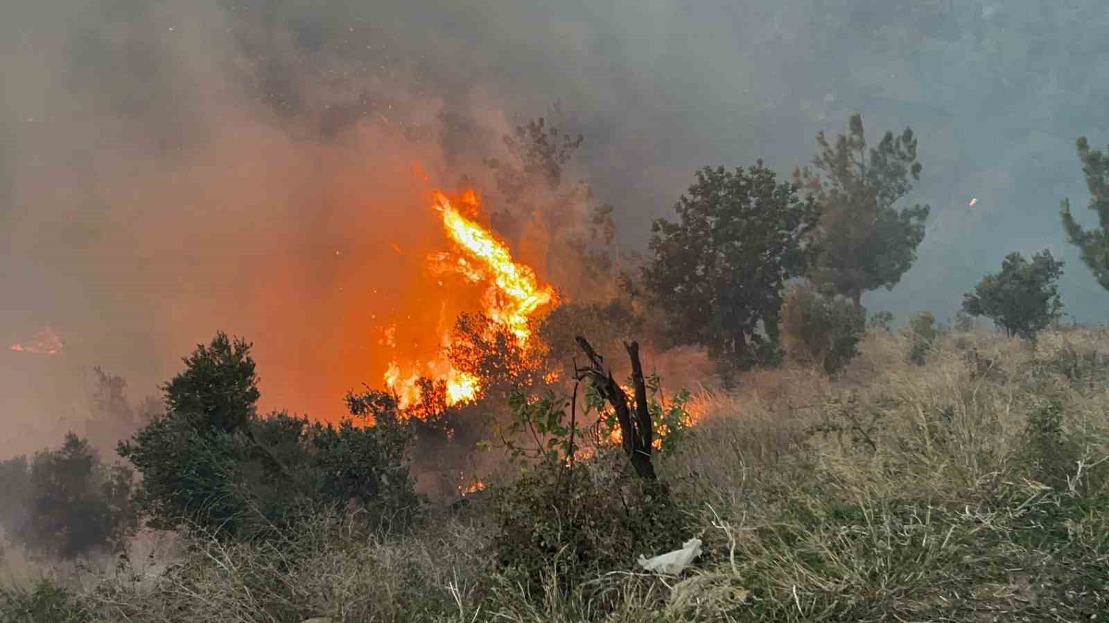 Evlere sıçrayan yangına müdahale için çevre illerden destek istendi
