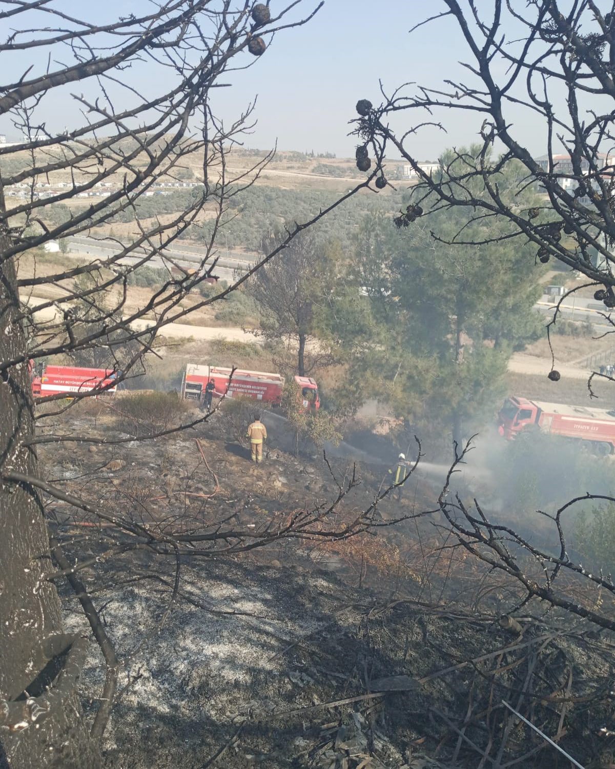 Antakya’da ormanlık alandaki yangın büyümeden söndürüldü
