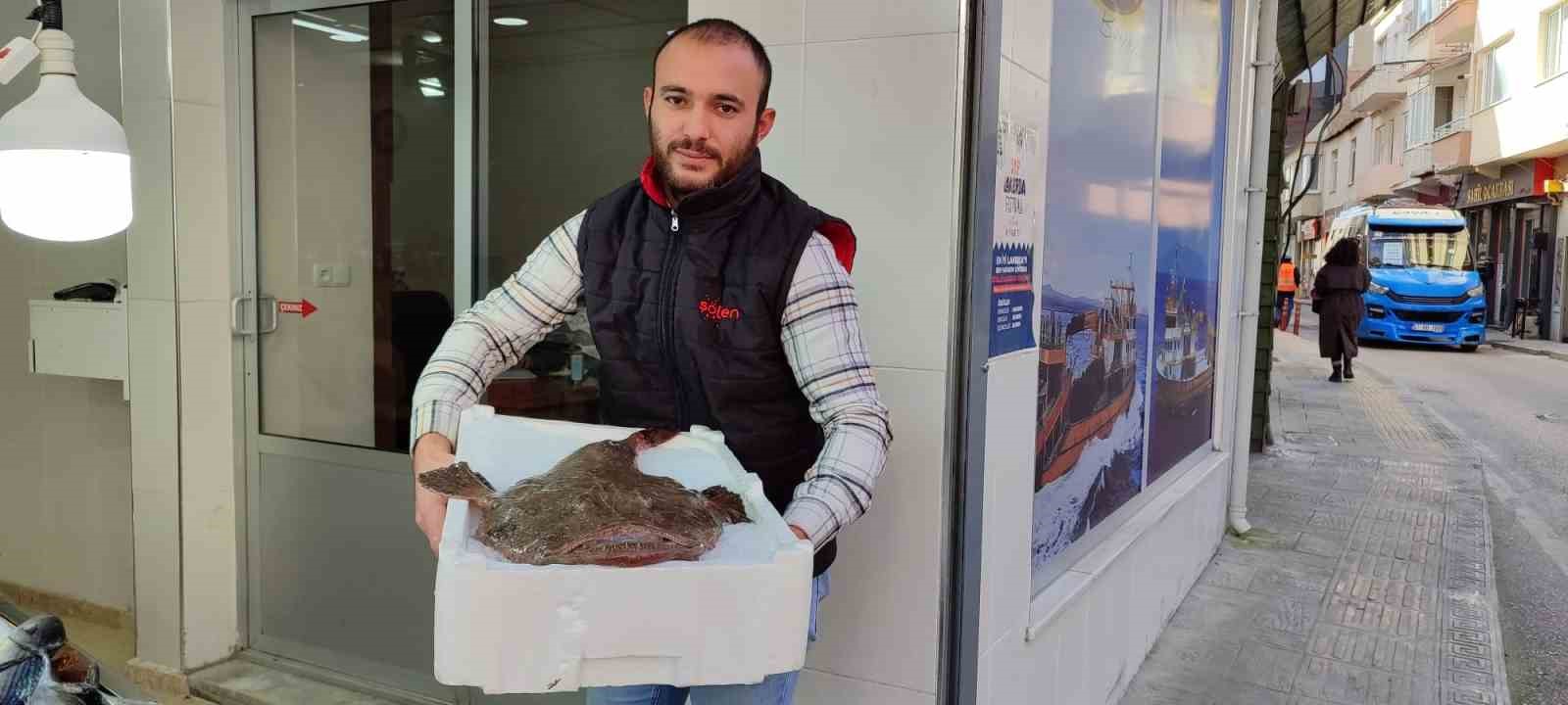 Sinop’ta yakalanan balık, ilginç görüntüsüyle dikkat çekti
