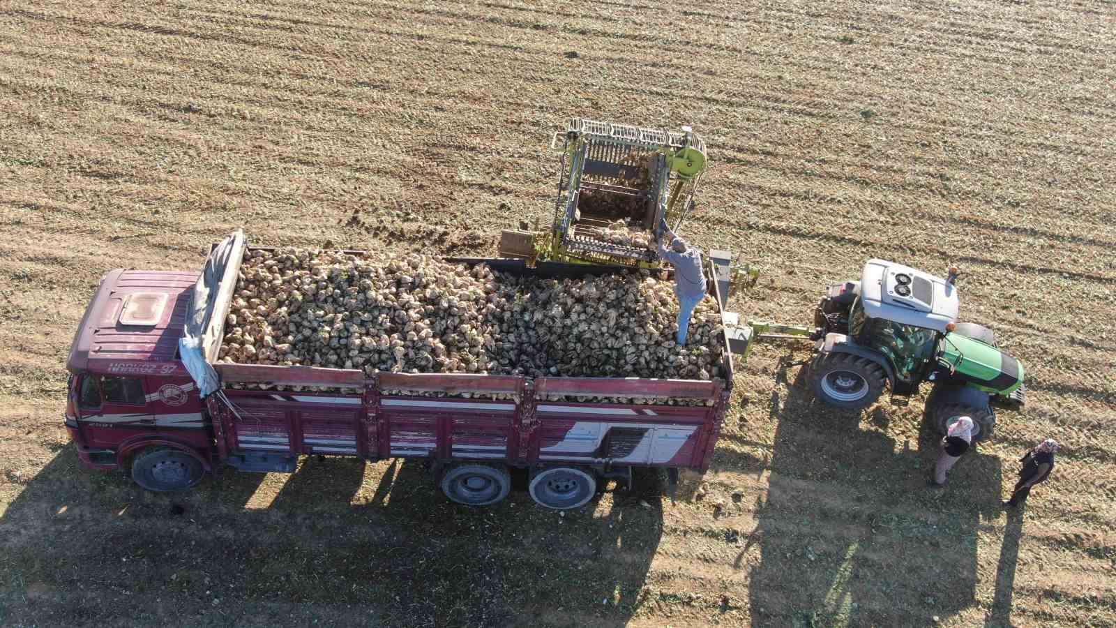 Kastamonu’da çiftçilerin zorlu pancar mesaisi devam ediyor