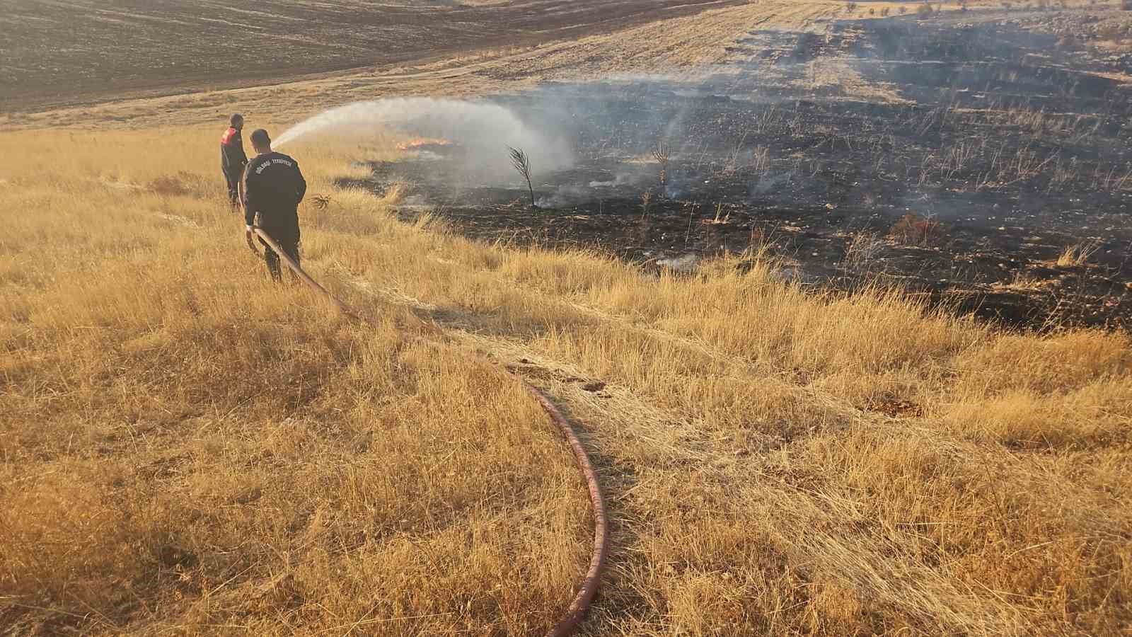 Anız yangını ormanlık alana sıçradı