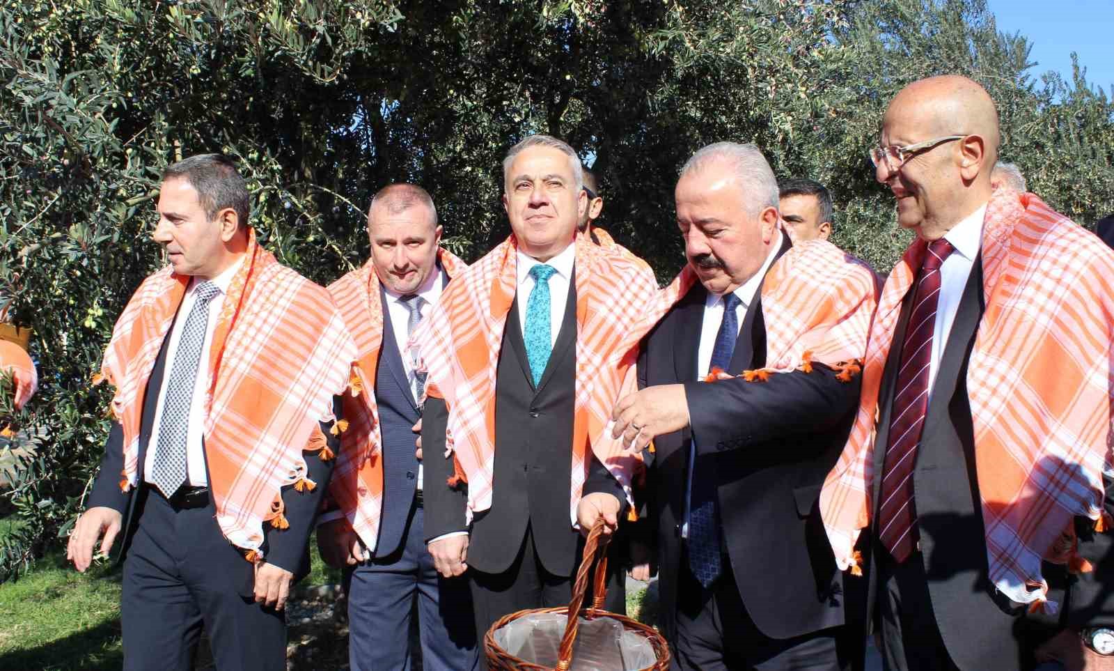 Bergama’da yeni sezon zeytin hasadı başladı
