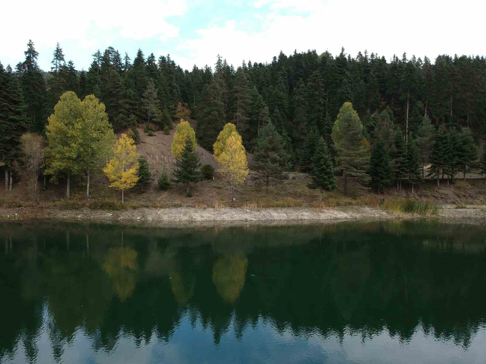 Sinop’ta doğanın renk cümbüşü mest etti