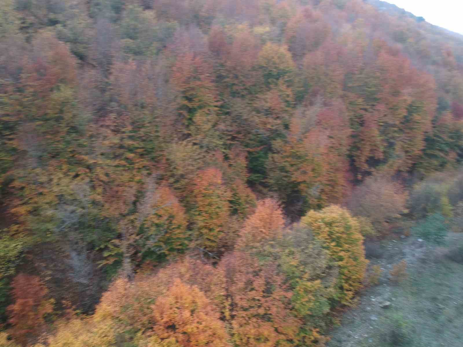 Sinop’ta doğanın renk cümbüşü mest etti
