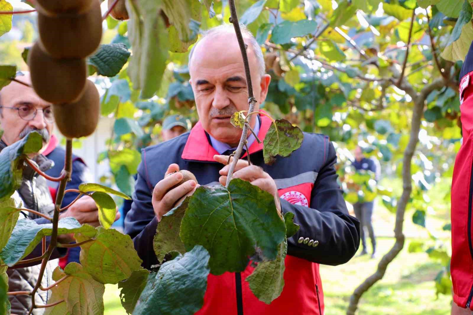 Ordu kivisi, ilin ekonomisine yaklaşık 300 milyon TL katkı sağlayacak
