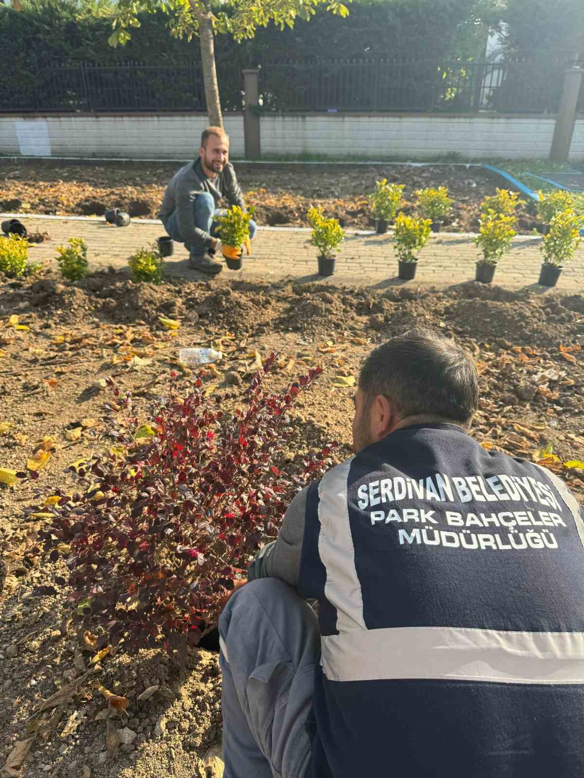 Serdivan’ın yeşil alanları güzelleşiyor
