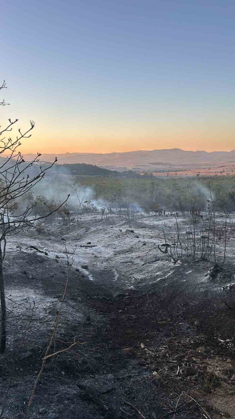 Yenişehir’de çıkan yangın kontrol altına alındı