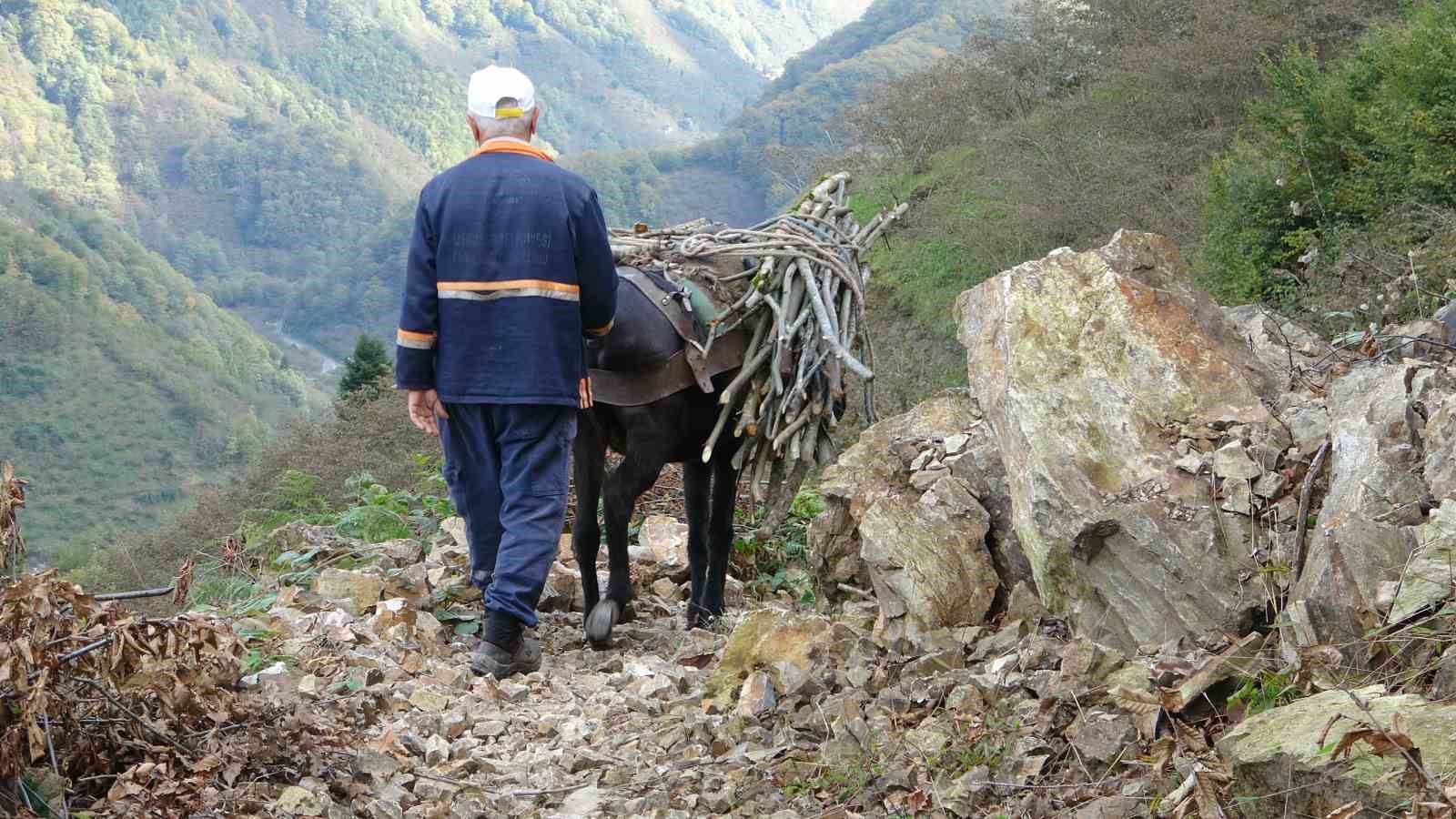 Giresun’un köylerinde katırcılık sona eriyor
