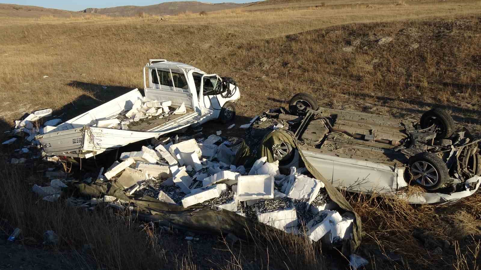 Balık yüklü kamyonet kaza yaptı, otoyol balık pazarına döndü
