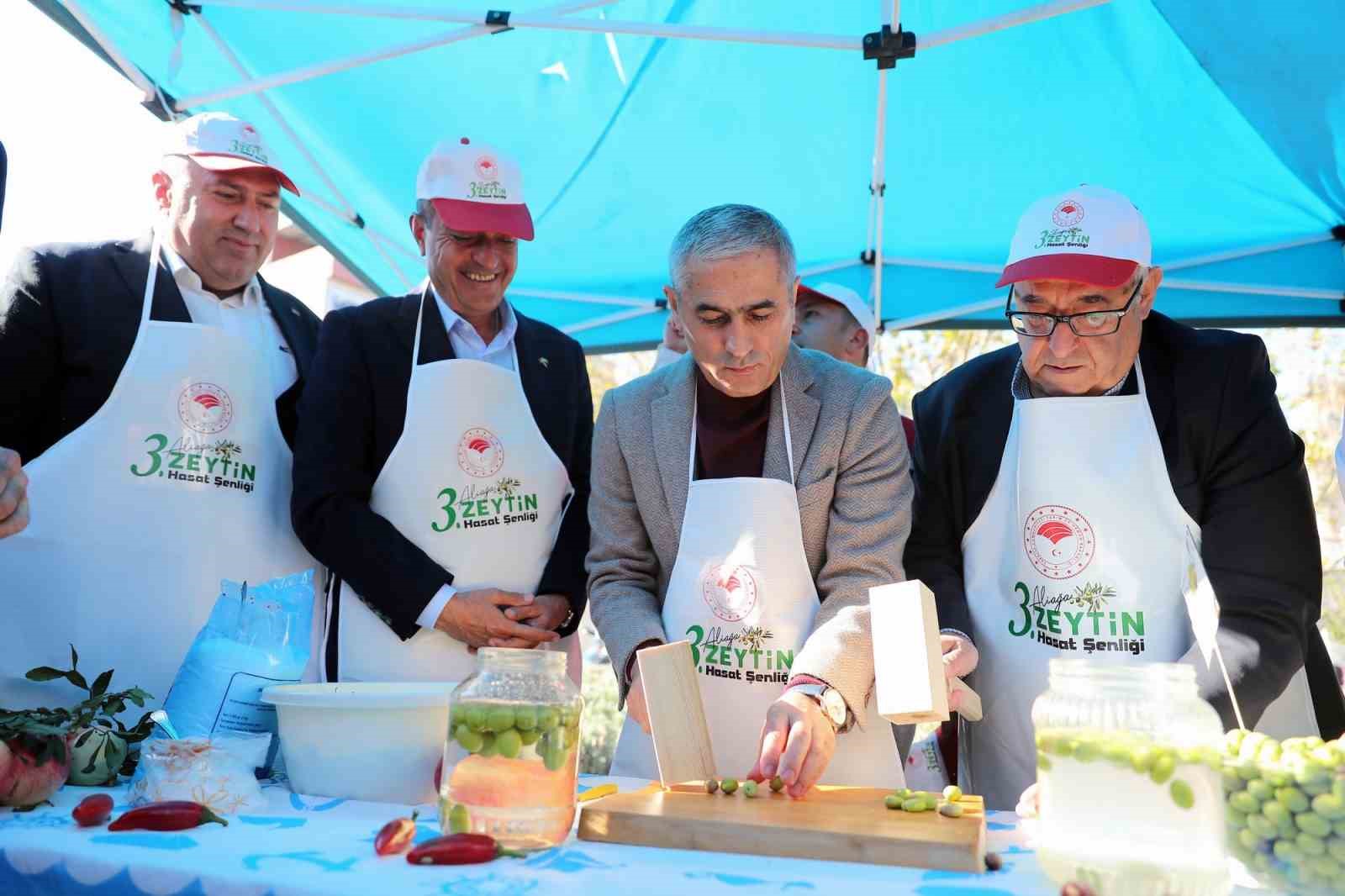 Aliağa’da "3. Zeytin Hasat Şenliği" düzenlendi