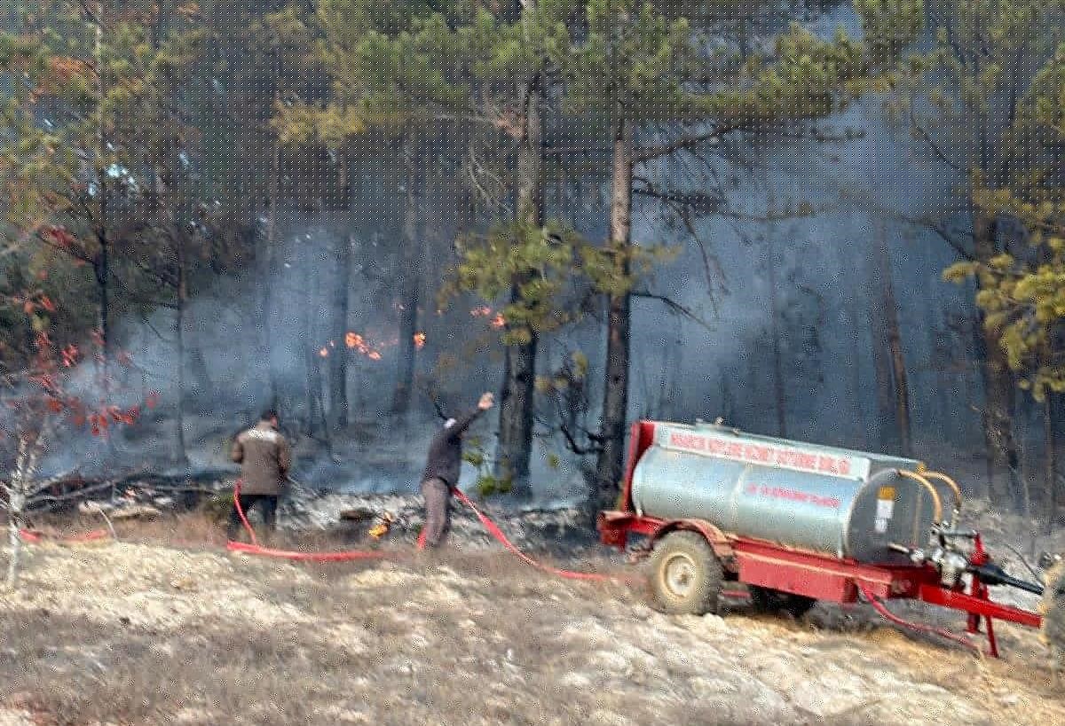 Simav ve Hisarcık’ta orman yangınları
