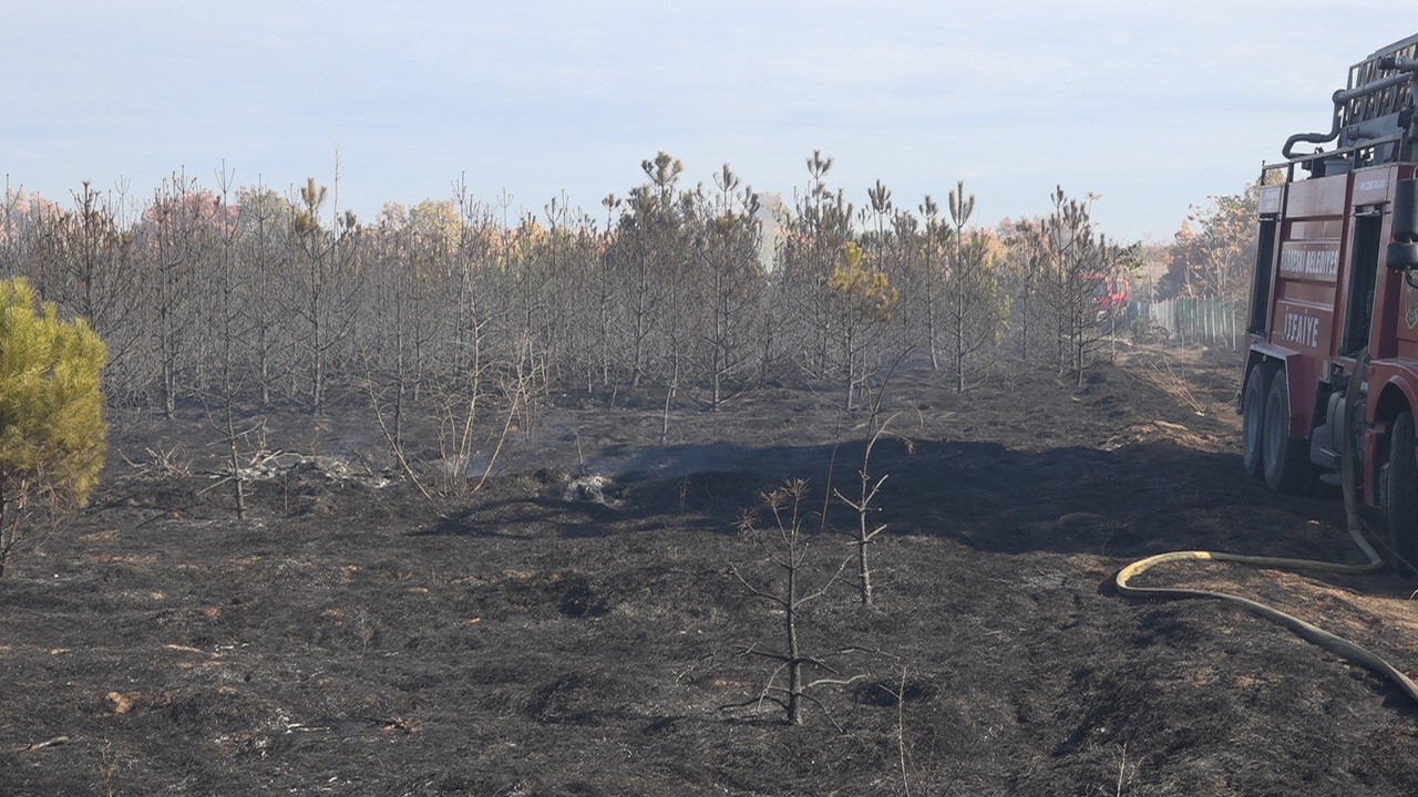 Kırklareli&rsquo;nde orman yangını: 6 hektar alan zarar g&ouml;rd&uuml;
