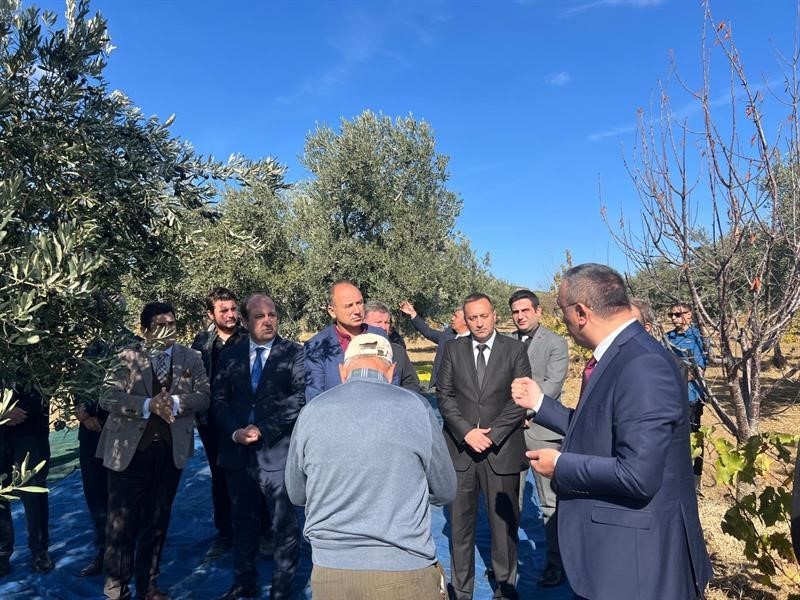 Tekirdağ&rsquo;da zeytin hasadı etkinliği
