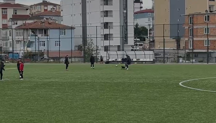 Sahanın sevimli ziyaret&ccedil;isi futbolcuların antrenmanına ortak oldu
