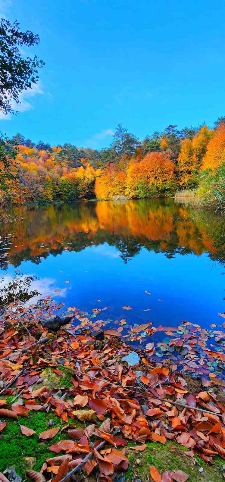 Yalova Kent Ormanı, sonbahar renklerine b&uuml;r&uuml;nd&uuml;
